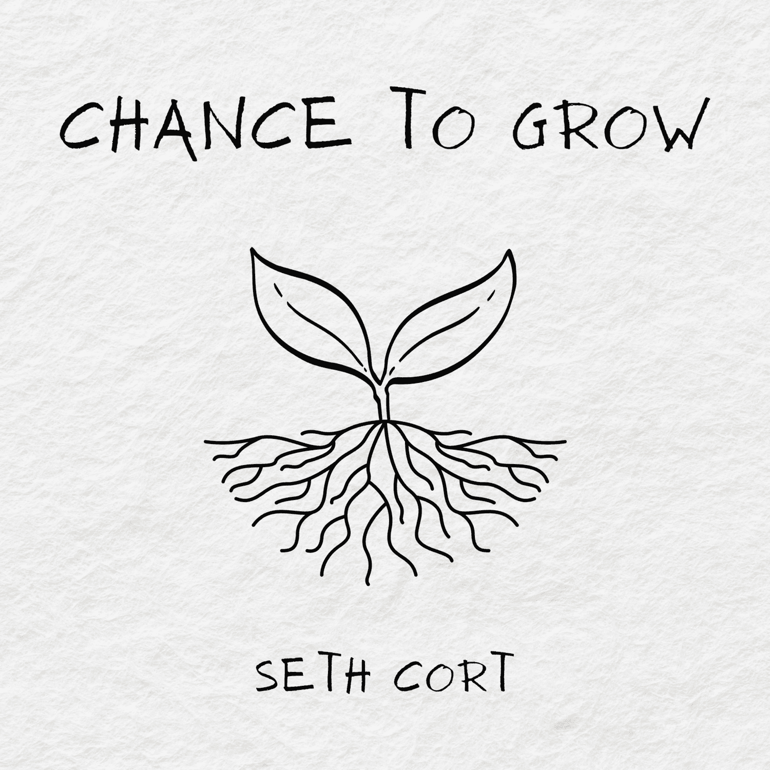 Chance To Grow artwork